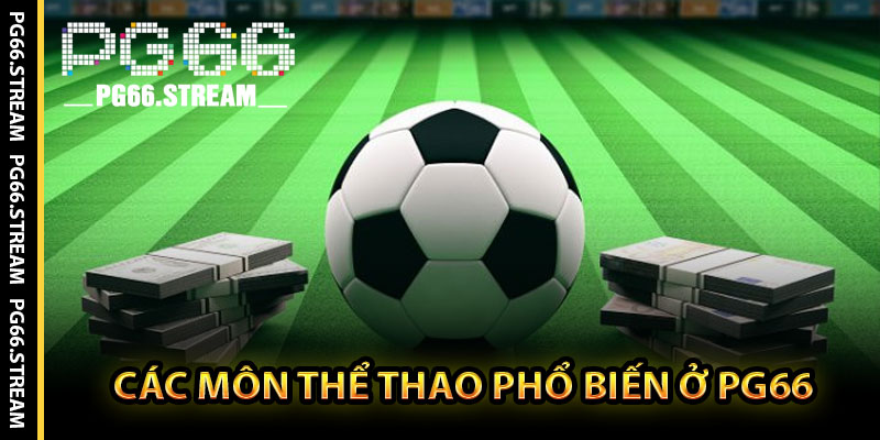 Các Môn Thể Thao Phổ Biến Ở PG66