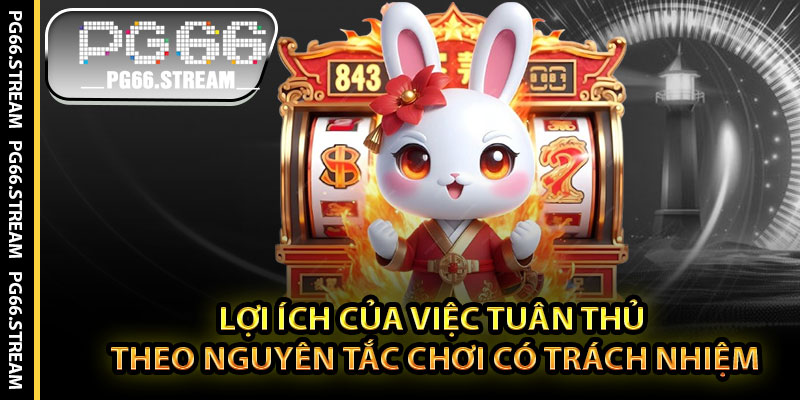 Lợi Ích Của Việc Tuân Thủ Theo Nguyên Tắc Chơi Có Trách Nhiệm