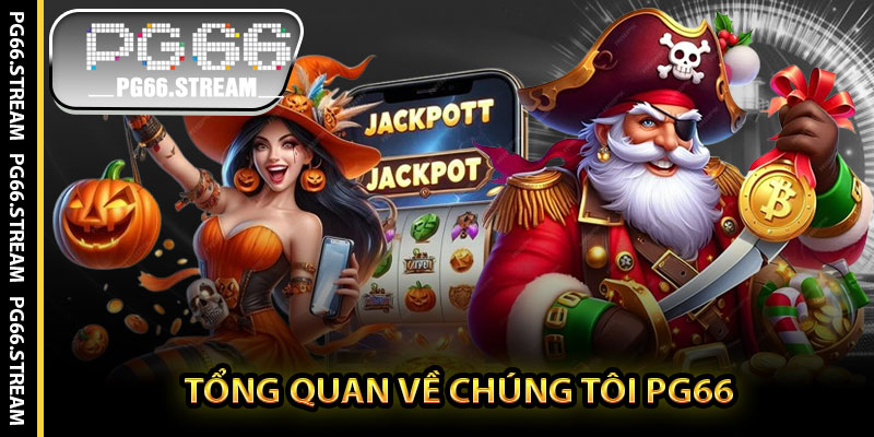 Tổng Quan Về Chúng Tôi PG66