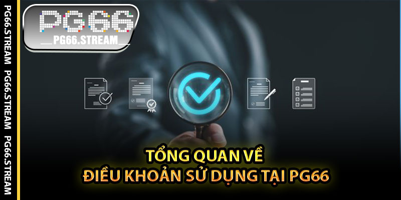 Tổng Quan Về Điều Khoản Sử Dụng Tại PG66