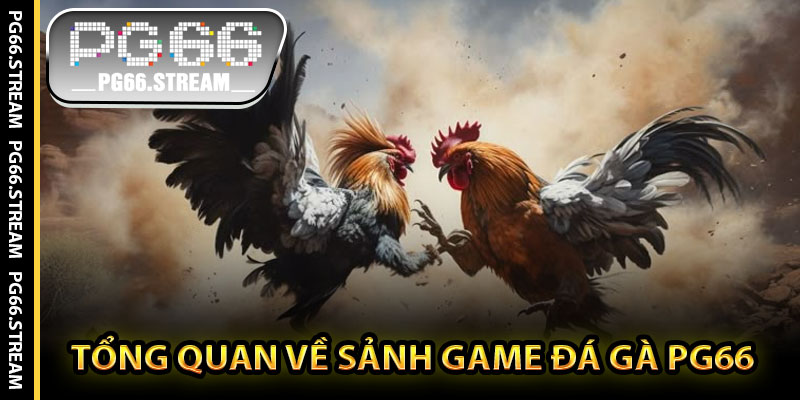 Tổng Quan Về Sảnh Game Đá Gà PG66